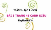 Bài 5 trang 41 Toán 9 tập 1 Cánh Diều